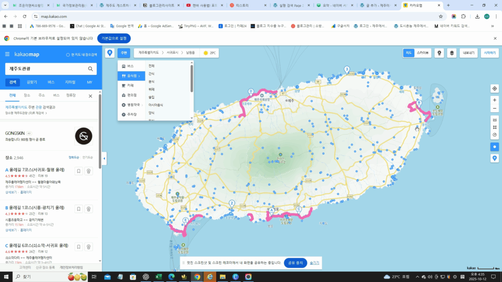제주도관광 카카오맵